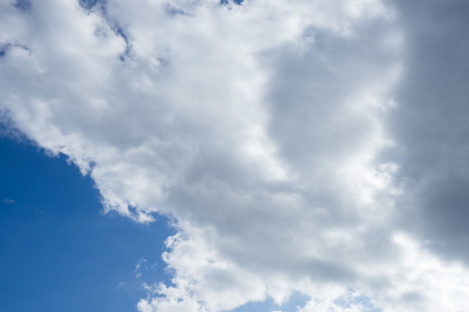 青空から白い積雲が湧き上がる空