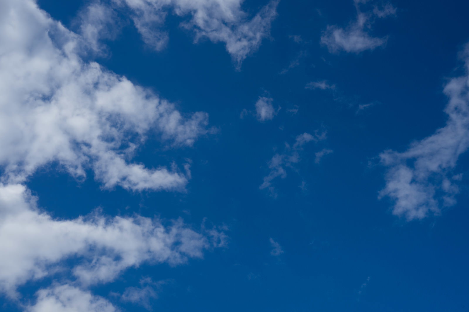 青空に白い積雲が浮かぶ晴天の風景