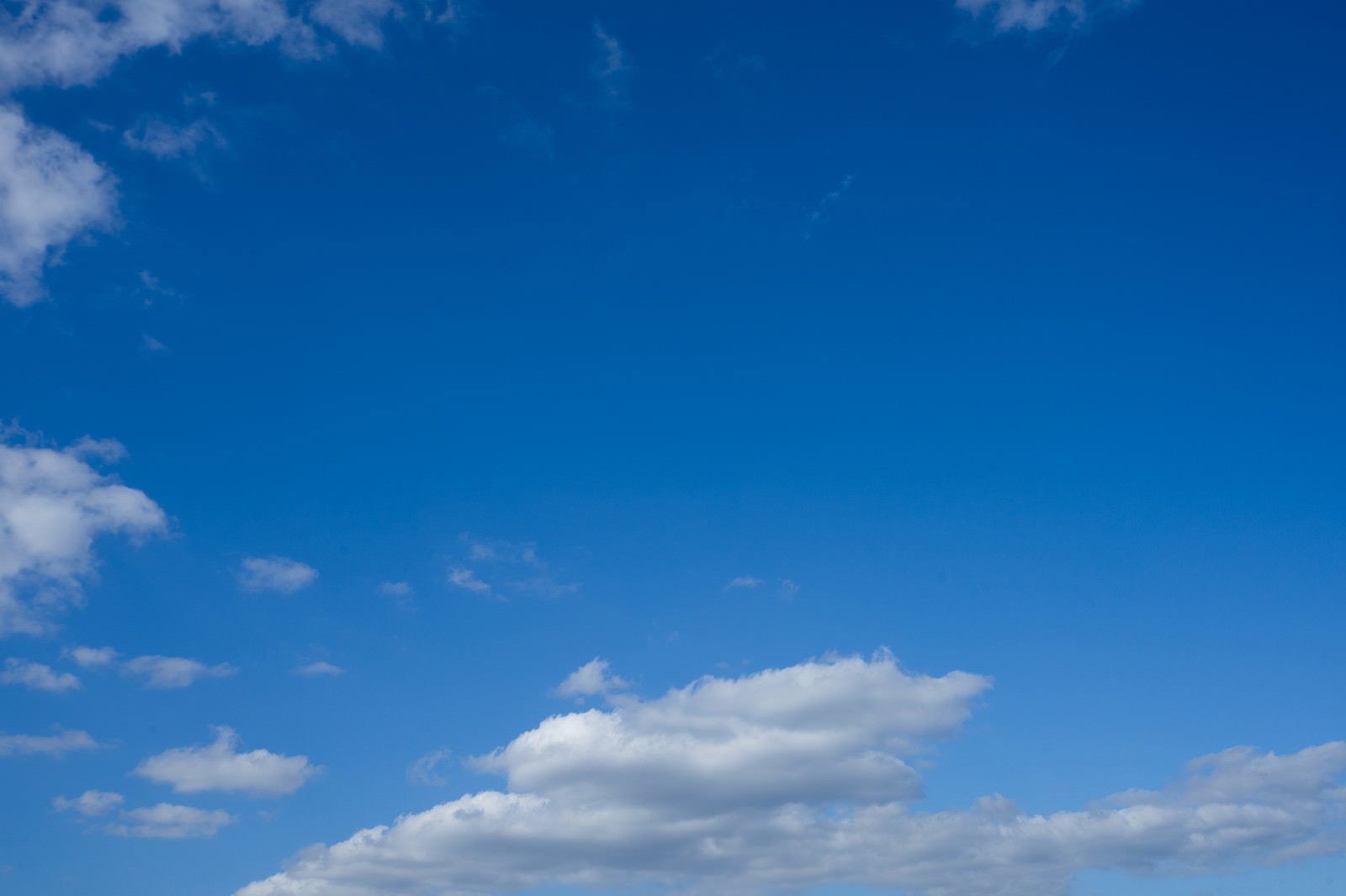 真っ青な晴れた空に白い積雲が浮かぶ