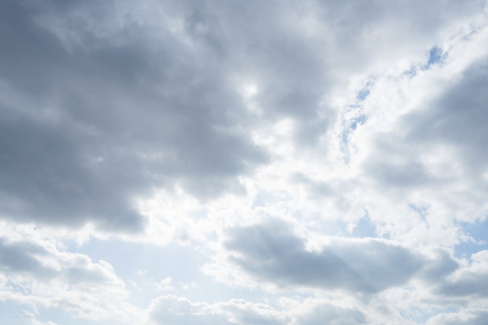 快晴の青空に浮かぶ白と灰色の積雲