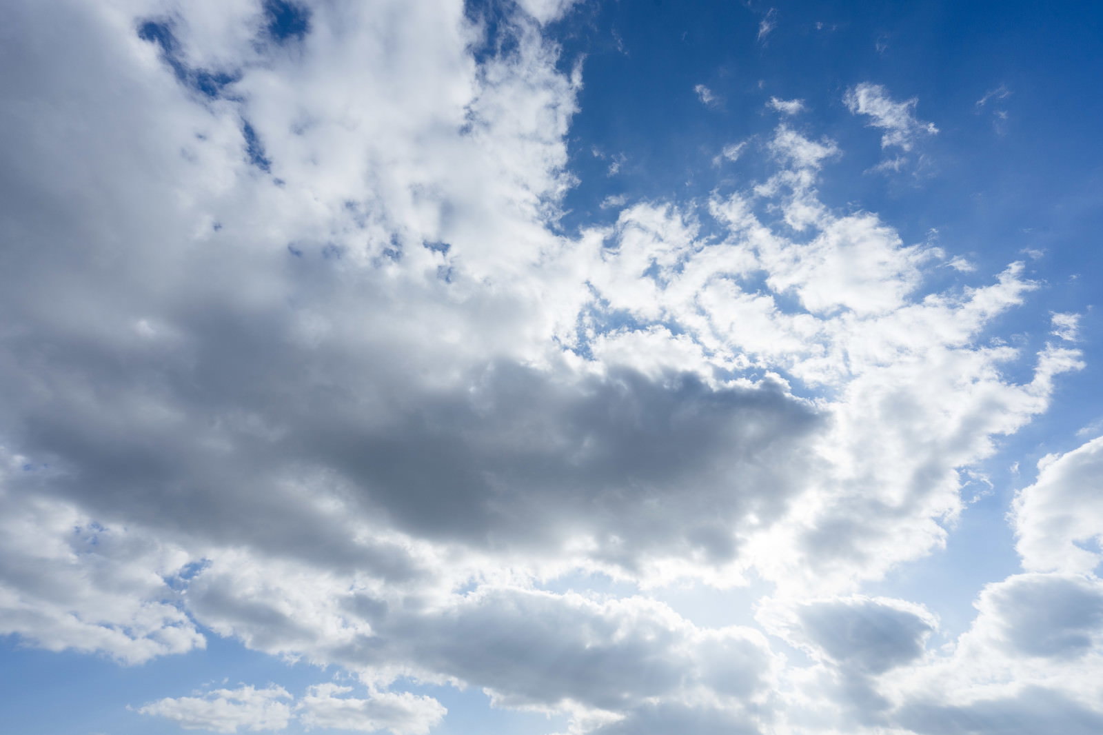 夏の青空に広がる白い雲と晴天