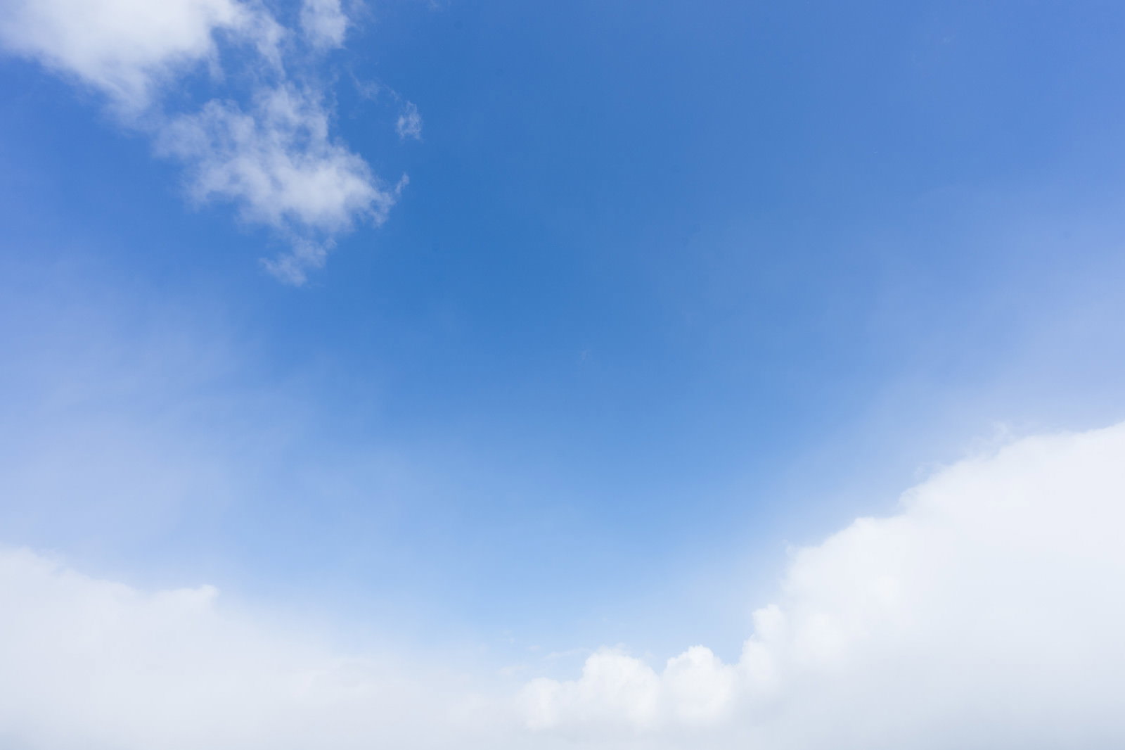 見上げた青空に広がる白い積雲