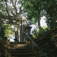 福岡県大刀洗の甲条神社で苔むした石段を上がる鳥居の写真