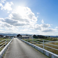 小石原川と大刀洗のまちを結ぶ白い橋と広がる田園風景の写真