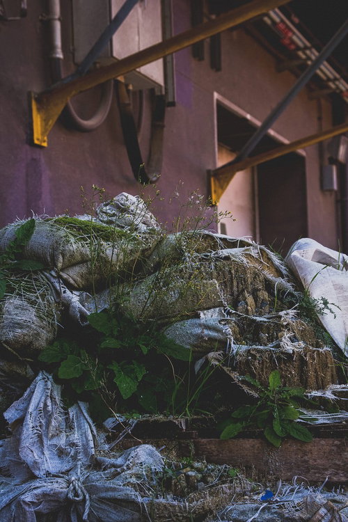 放置された土嚢と雑草が茂る工場跡地の風化した風景の写真