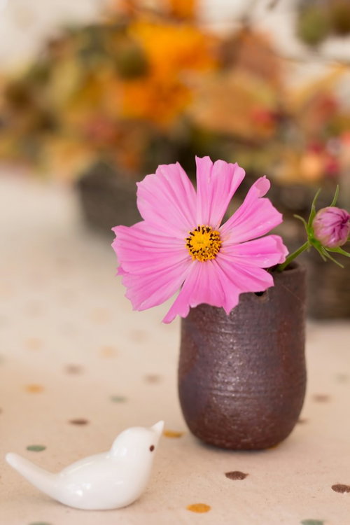 コスモスと小鳥の雑貨ディスプレイ