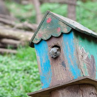 ここの耐震大丈夫っすかね？（リス）の写真
