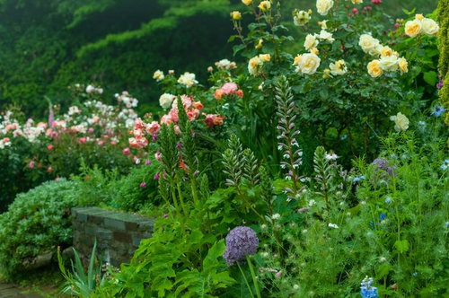 色とりどりの花が咲き誇って賑やかな手入れされた庭