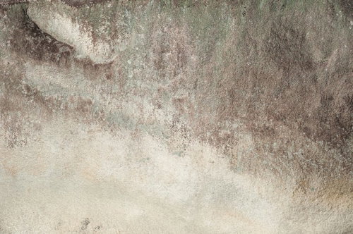 苔と地衣類が広がる擦れた壁のテクスチャ