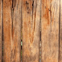 隙間から緑が見える古い縦並びの木の柵のテクスチャーの写真