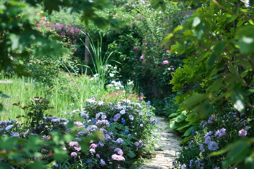 花が咲き誇る昼下がりの庭園の小道