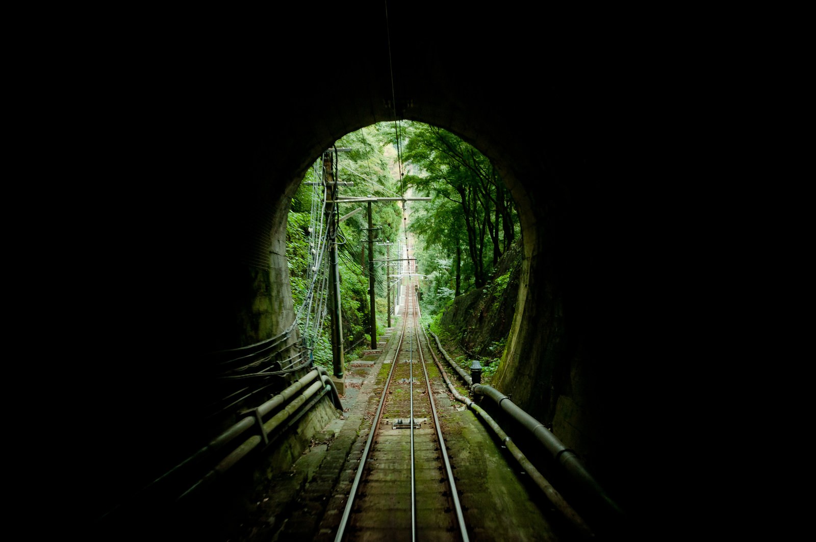 苔むしたトンネルの中を伸びる線路