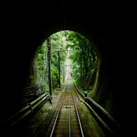 高尾のトンネルを抜ける線路：苔むした壁と消える単線レールの写真