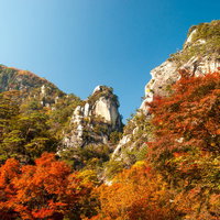 白い岩山と紅葉が広がる昇仙峡の秋の写真