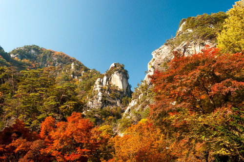 白い岩山と紅葉が広がる昇仙峡の秋