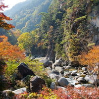 秋の渓谷に広がる紅葉と渓流の写真