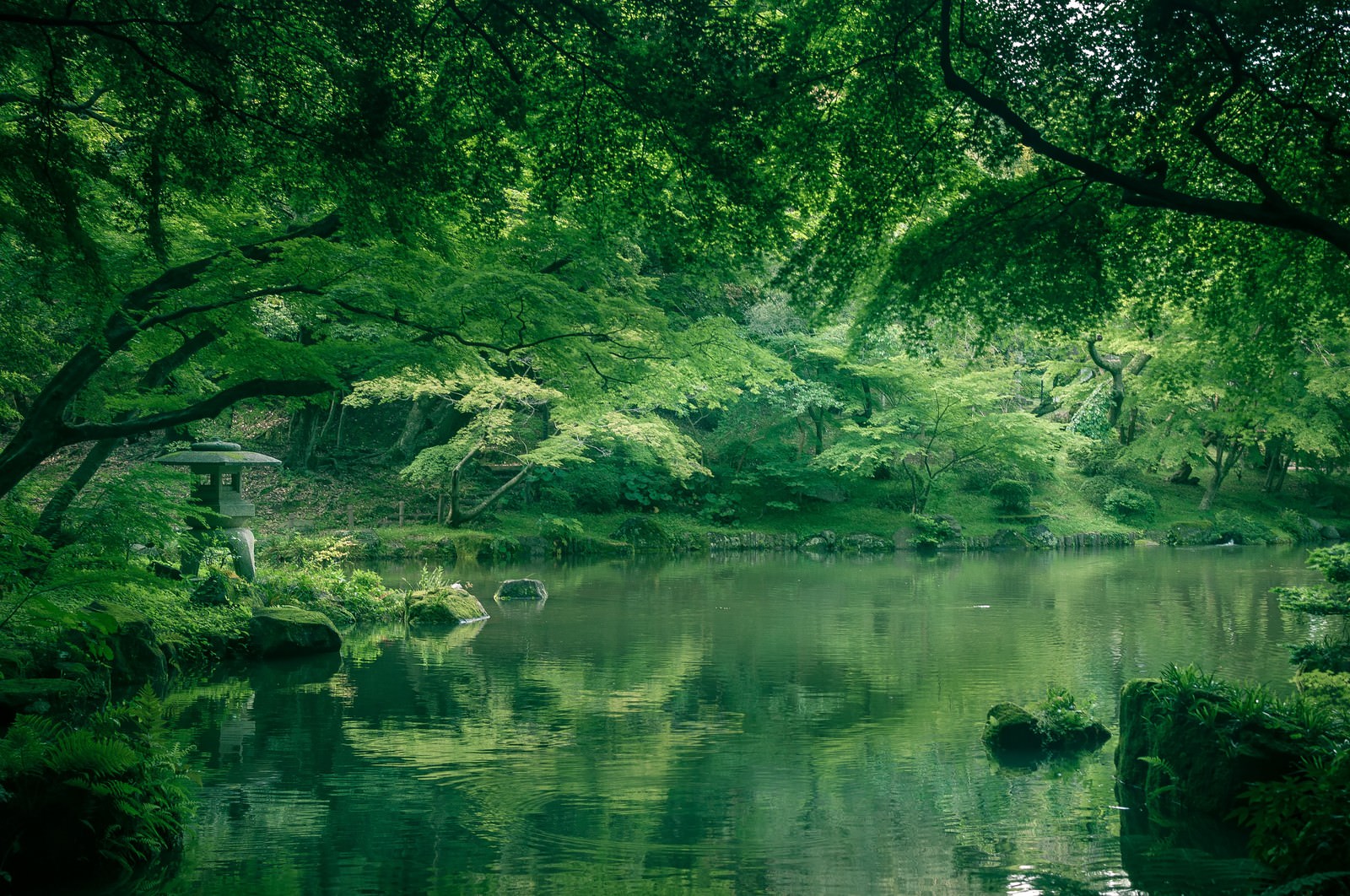 成田山の竜智の池に映る樹木と灯籠の景観