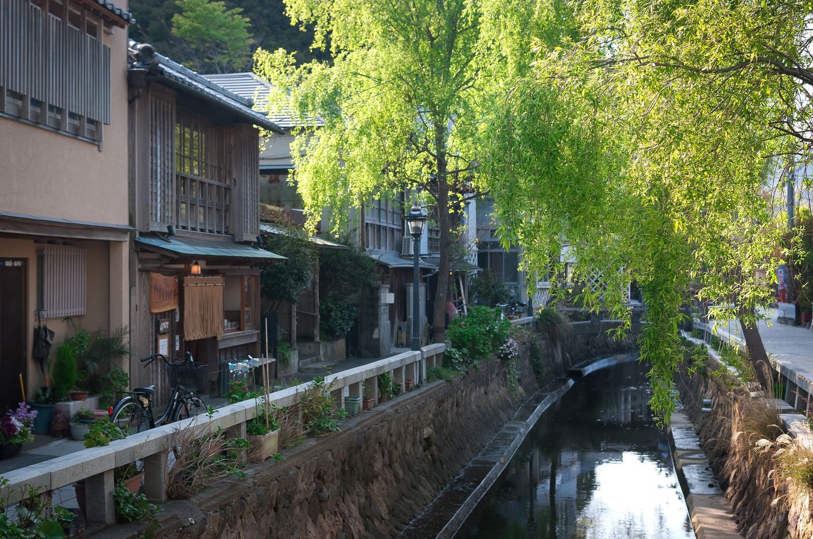 水路に沿って並ぶ木造建物と柳の木の伊豆下田ペリーロード