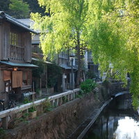 水路に沿って並ぶ木造建物と柳の木の伊豆下田ペリーロードの写真