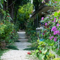 赤や紫の花が咲く並木道の住宅地の写真