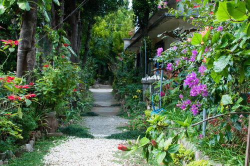 赤や紫の花が咲く並木道の住宅地