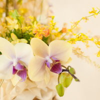 白と紫の洋ランの花とフラワーアレンジメントの写真