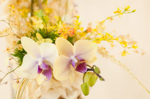 白と紫の洋ランの花とフラワーアレンジメント