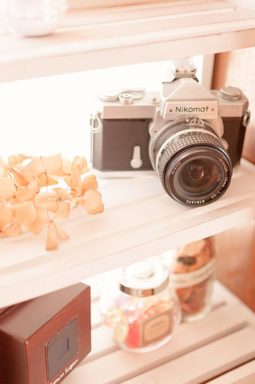 棚に置かれたNikomatカメラとピンクの花