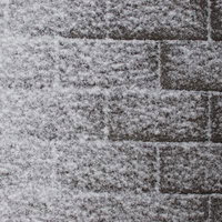 インターロッキングブロックの歩道に積もる雪の写真