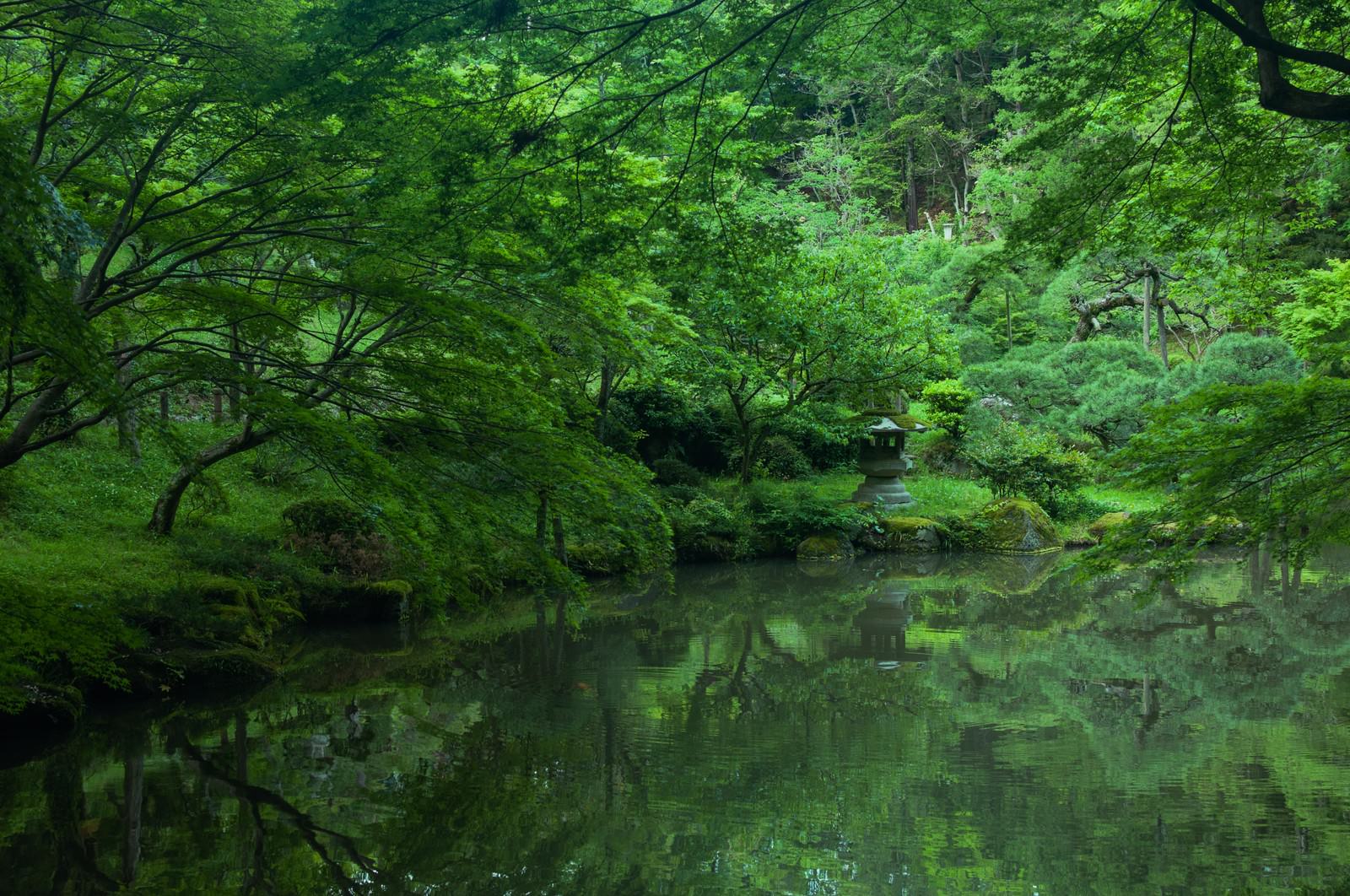成田山の新緑の森に囲まれた池と石灯籠