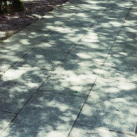 石畳に映る木漏れ日の影と苔むした参道の和風風情の写真