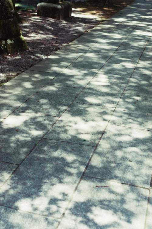 石畳に映る木漏れ日の影と苔むした参道の和風風情
