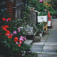 花で彩られた路地裏 古い町並みの懐かしい昭和レトロ風景の写真