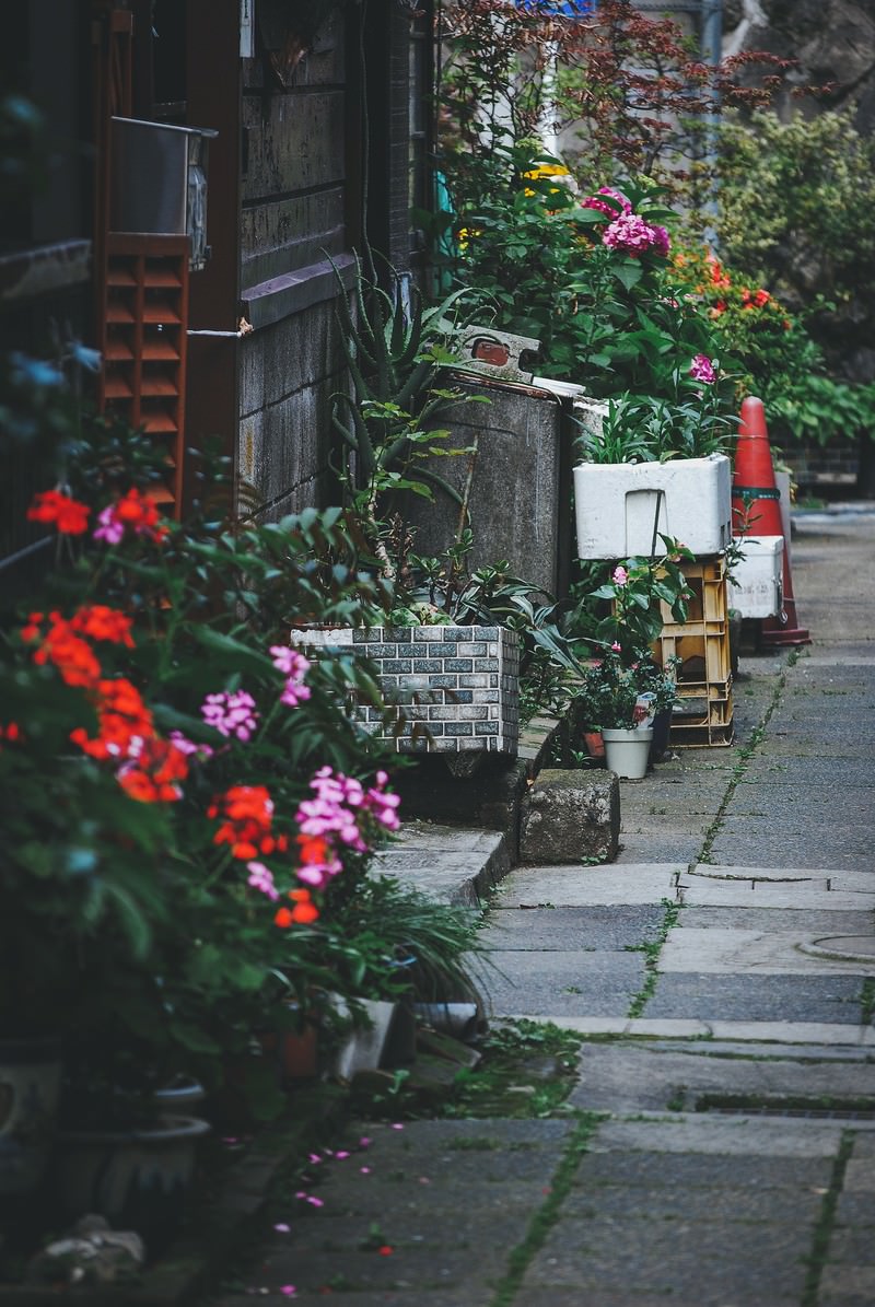 古い木造建物の壁際に鉢植えが並ぶ路地裏