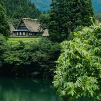 川端から見る菅沼集落の合掌造り家屋と新緑の風景の写真