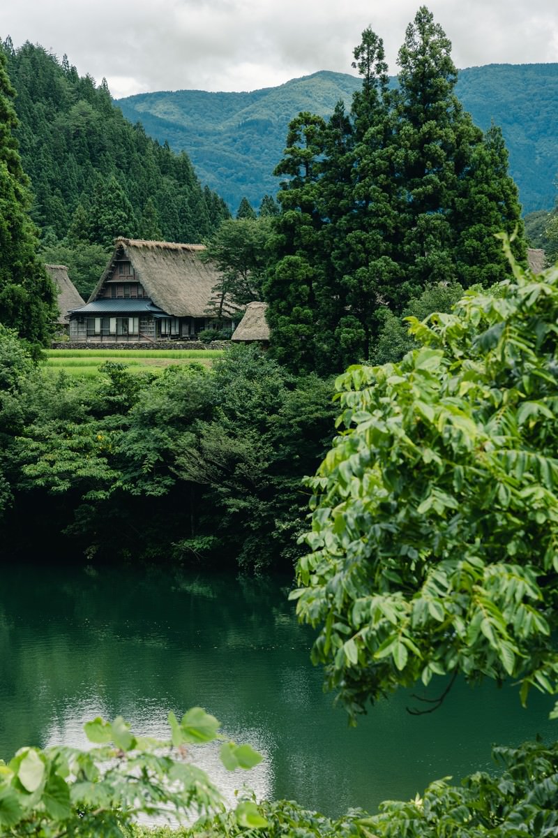 川岸から眺める菅沼集落の合掌造り家屋と緑豊かな山々