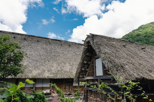 南砺市の合掌造りを覆う茅葺屋根と山間の集落風景