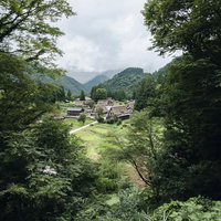 木々の向こう側に現れた五箇山合掌造り集落の風景の写真