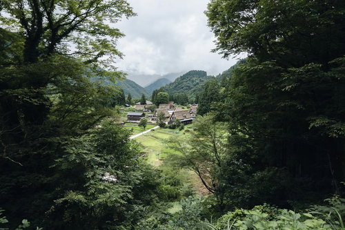 木々の向こう側に現れた五箇山合掌造り集落の風景