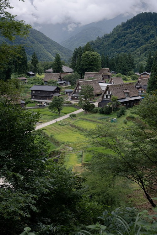 山間に佇む相倉集落の合掌造り集落と田んぼの景観