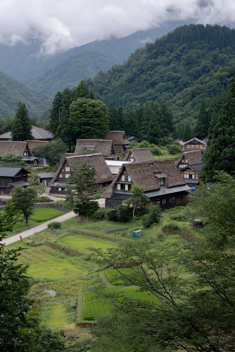山間の谷間に点在する茅葺屋根の合掌造り家屋と緑の田んぼ
