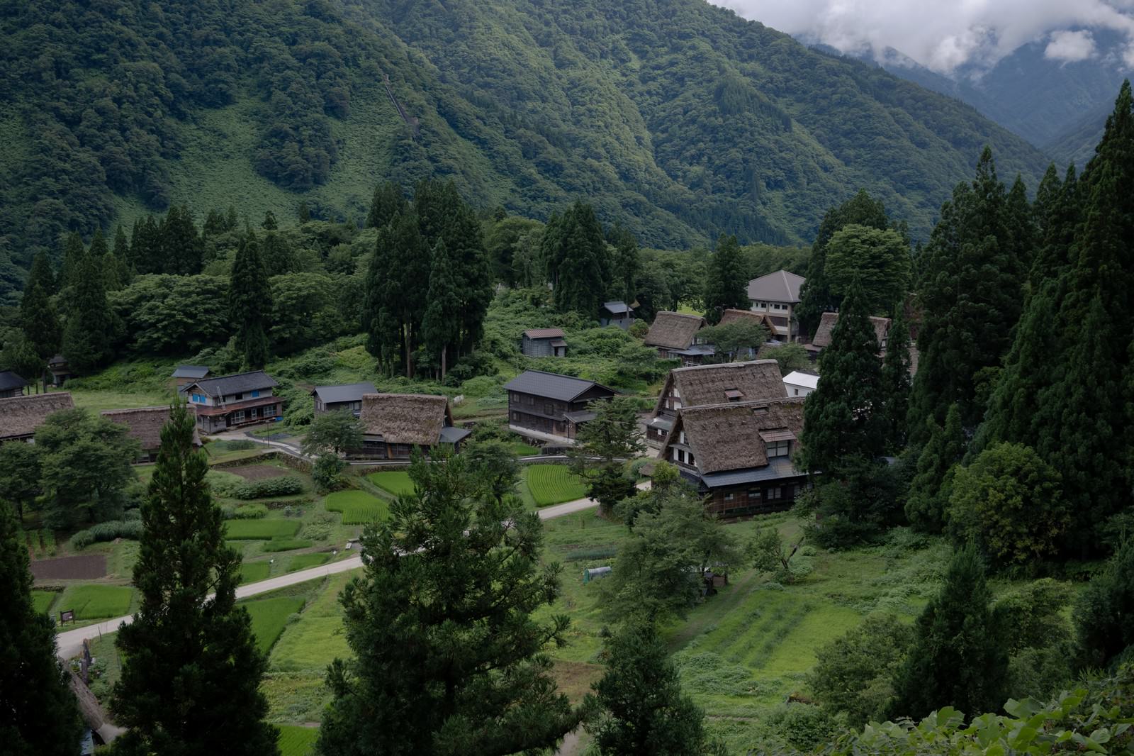 緑の山々に囲まれた谷間に茅葺屋根の合掌造り家屋が点在する相倉集落の風景