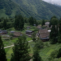 山間の相倉集落に伸びる道と茅葺屋根の合掌造りの写真