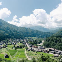 白川郷の夏、緑に囲まれた合掌造り集落の茅葺屋根の風景の写真