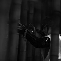 薄暗い竹林の影から火縄銃を構える野盗の緊迫した瞬間の写真