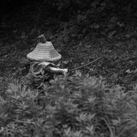 刀を振りかざし竹林の中を走る追手の侍の写真