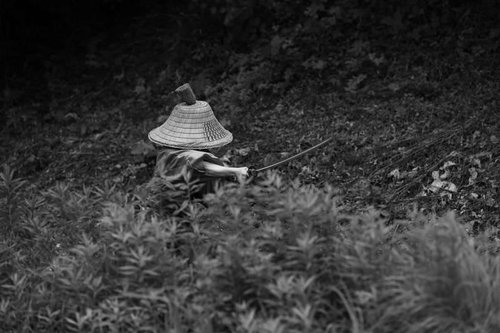 刀を振りかざし竹林の中を走る追手の侍