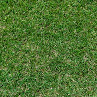 緑と茶色が混じる屋外の芝生地面のテクスチャーの写真