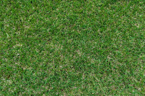 緑と茶色が混じる屋外の芝生地面のテクスチャー