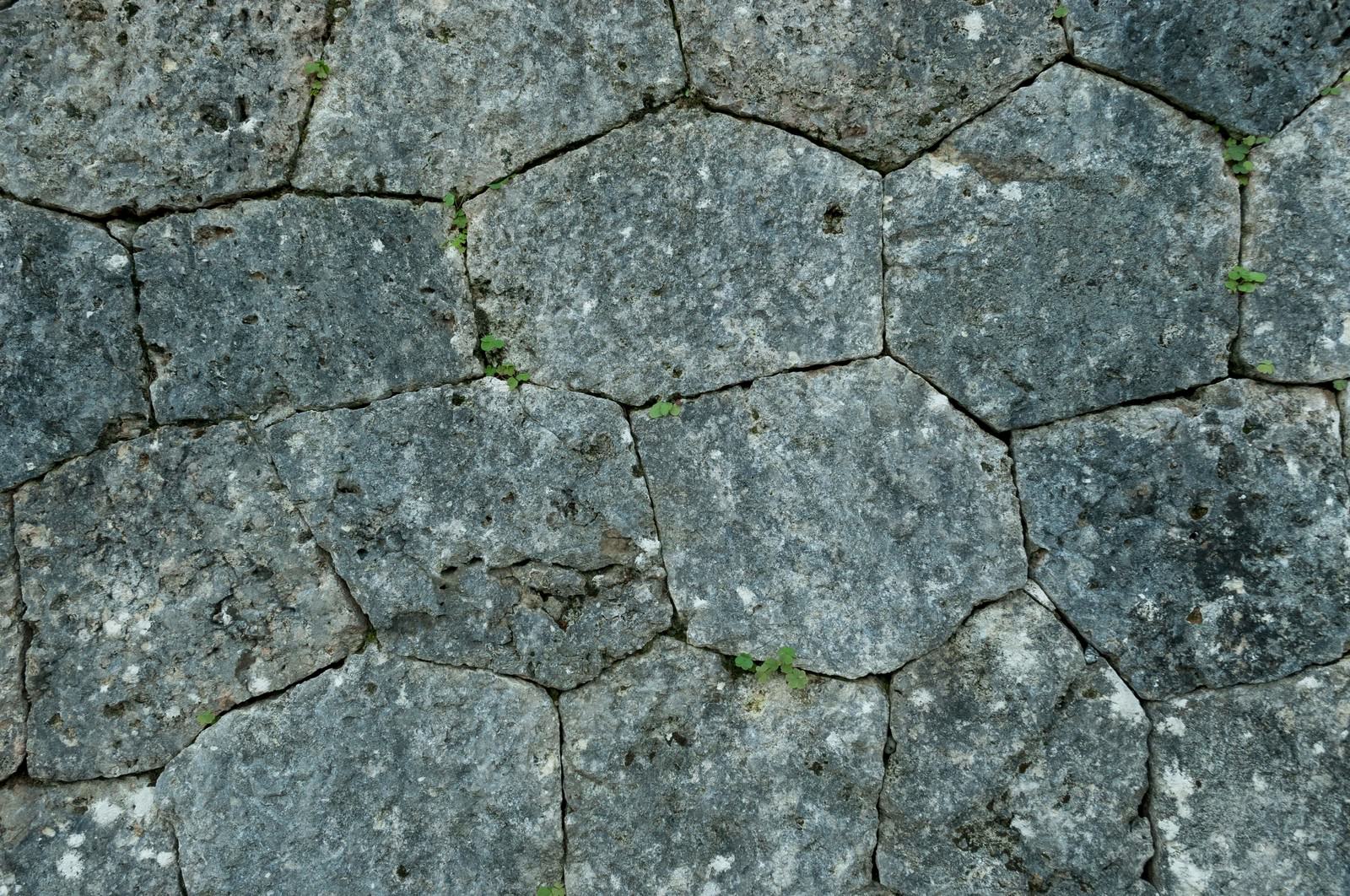 苔が生える古い石垣が積み重ねられた接写。石の目地に緑色の苔が生えている